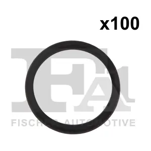 076.463.100 FA1