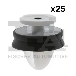 21-40031.25 FA1