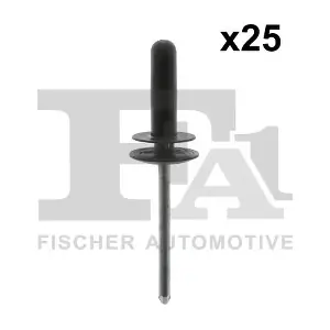 13-20004.25 FA1