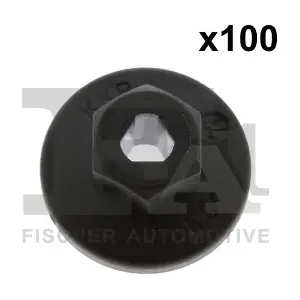 11-70006.100 FA1