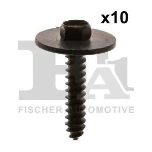 13-70006.10 FA1
