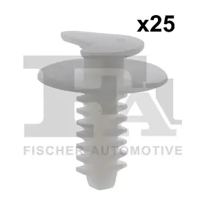 21-10029.25 FA1