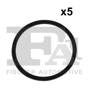 076.429.005 FA1