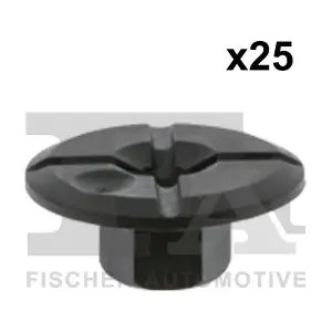 10-10006.25 FA1