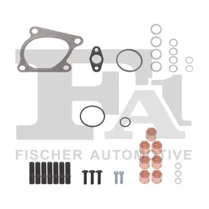 KT110520 FA1