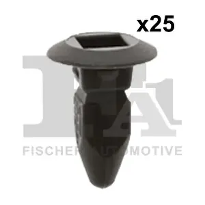 11-60006.25 FA1