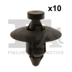 55-30001.10 FA1