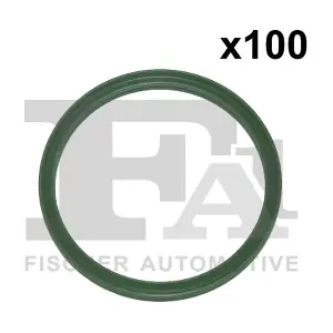 FA1 076321100