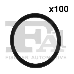 FA1 076379100