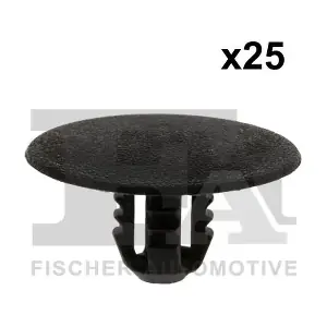 11-10007.25 FA1