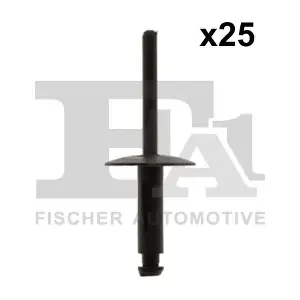 10-20020.25 FA1