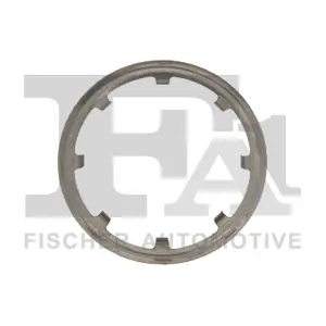 100933 FA1