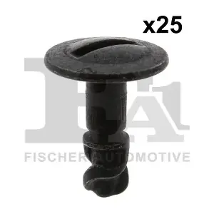 11-40088.25 FA1