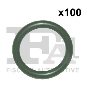 FA1 076347100