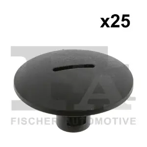 21-10006.25 FA1