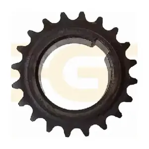 PCKD139 GGT