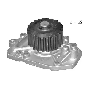 GGT PA10794