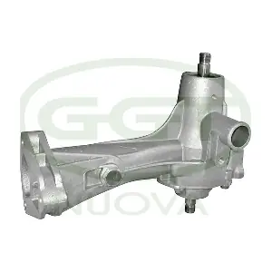 GGT PA00155
