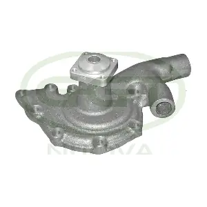 GGT PA10779