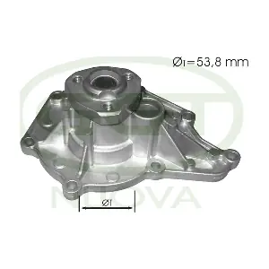 PA12561 GGT