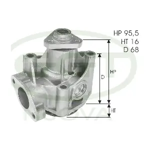 GGT PA00806