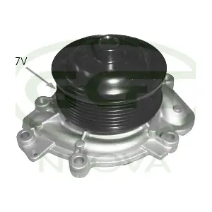 GGT PA12567