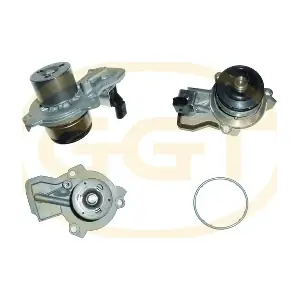 PA13013 GGT