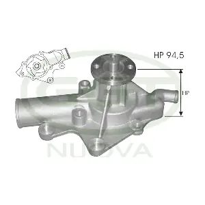 PA12093 GGT
