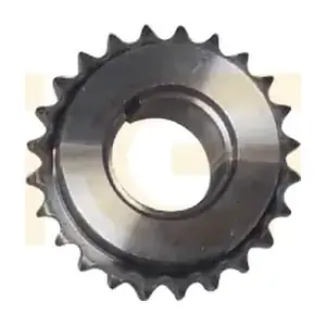 PCKD085 GGT