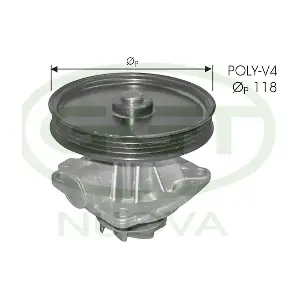 GGT PA11106
