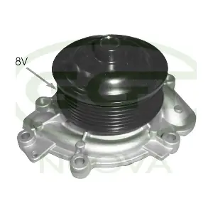 PA12566 GGT