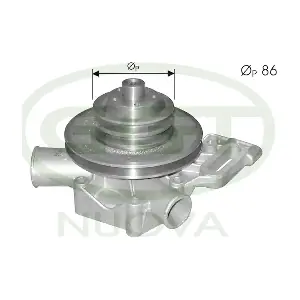 PA10011 GGT