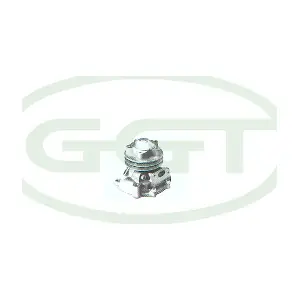 PA10975 GGT