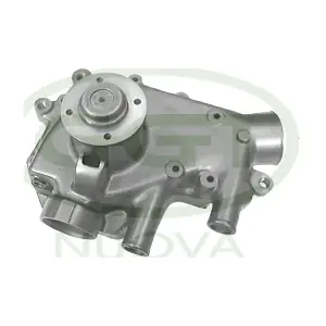 PA15005 GGT