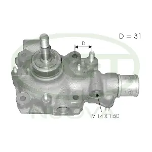 GGT PA10639