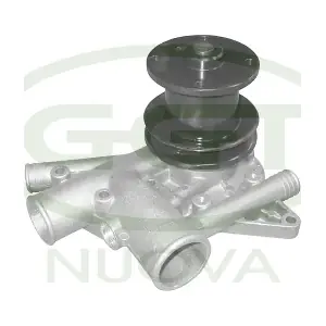 PA01008 GGT