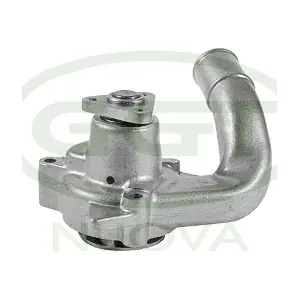 GGT PA11047