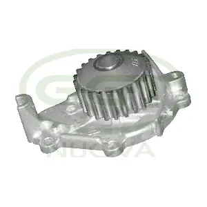 PA10698 GGT