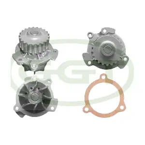 PA12694 GGT