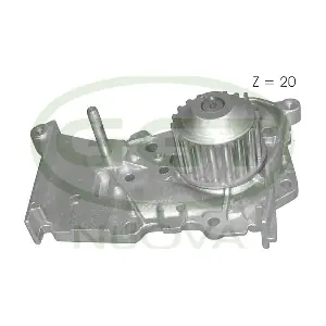 GGT PA11155