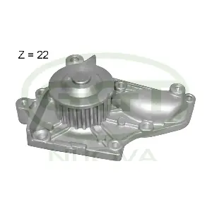 PA10854 GGT