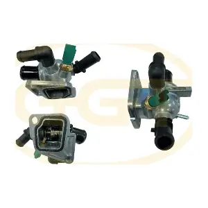 GGT TMPA018