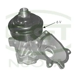 PA12516 GGT