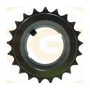 PCKD052 GGT