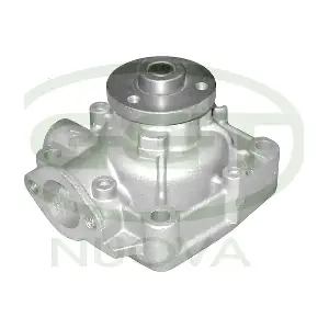 PA10686 GGT