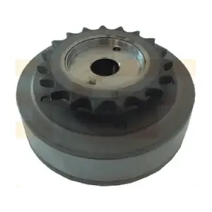 PCKD010 GGT