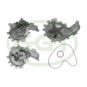 PA12931 GGT