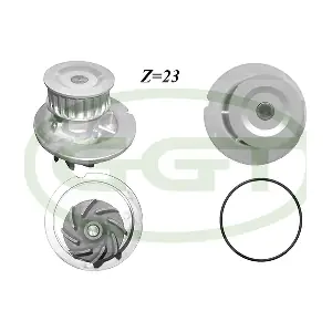 GGT PA12657