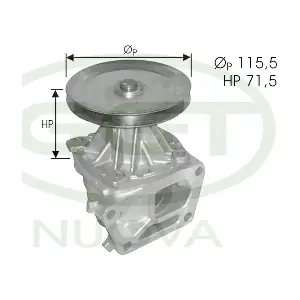 PA00178 GGT