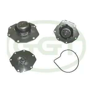 PA12915 GGT